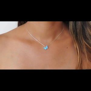 Meet your Posher, Heidi